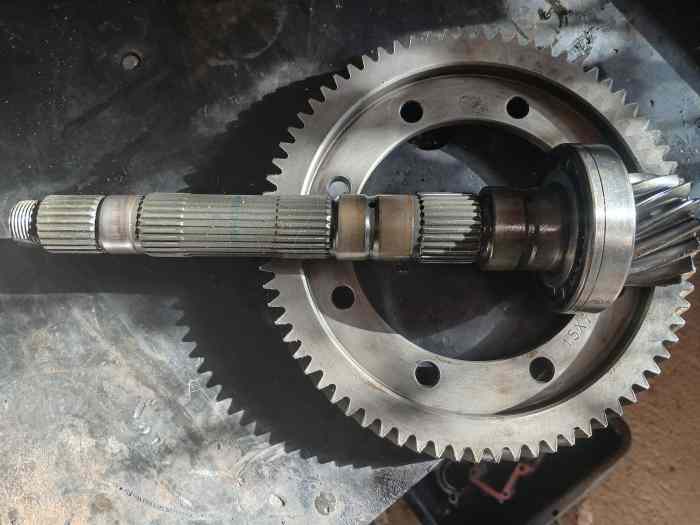 COUPLE COURT BE4 15x74 1