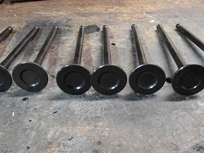 Soupape echappement forgé tu5jp4 1