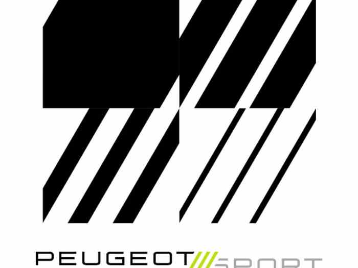 2 disques de frein avants 208 rally4 rc4