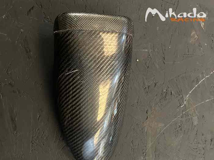 Trappe de toit carbone 1