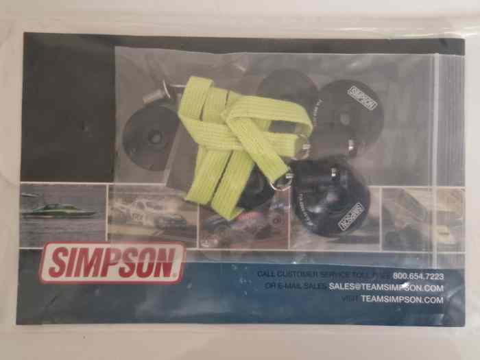 Hans Simpson Hybrid 2