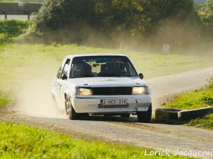 Peugeot 309 gti 16 mini gra 1