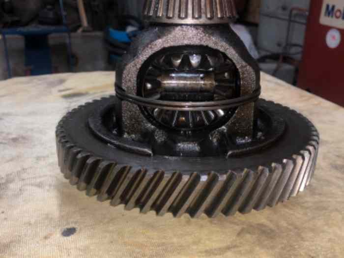 Couple court 14x60 boîte ma 2