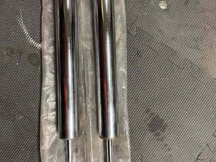 Cartouches amortisseurs clio 2 cup 2