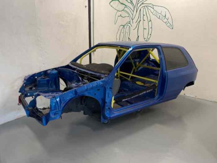 Clio 16S Williams + arceau Devil coupe