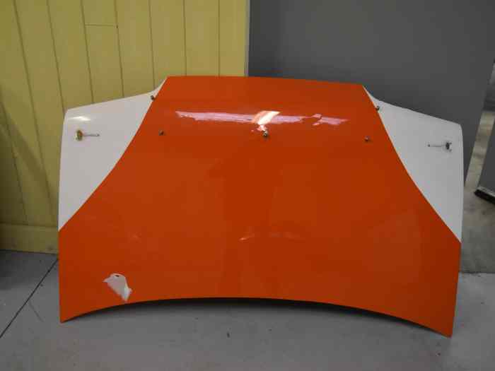 CAPOT FIBRE CITROEN AX