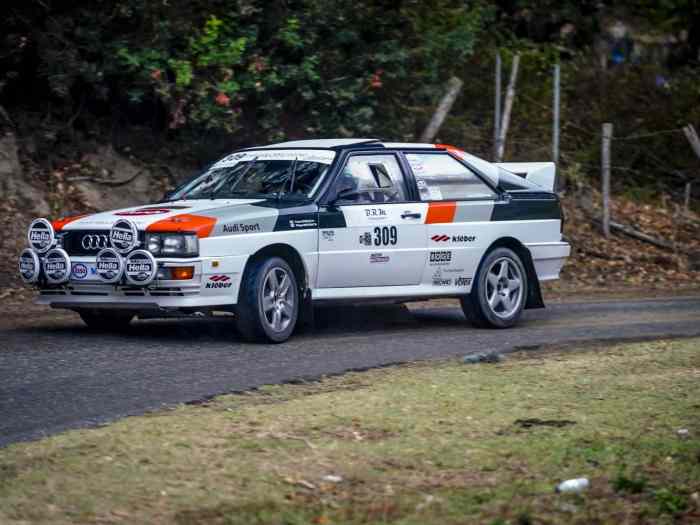 audi quattro 1983 2