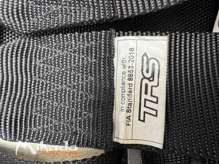 Paire Harnais 6 Points Turn One FIA 2025 3