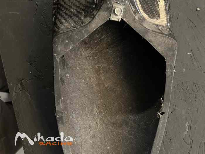 Trappe de toit carbone 2