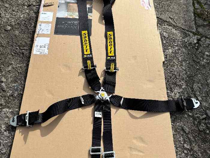 Harnais sabelt Renault sport plus homo...