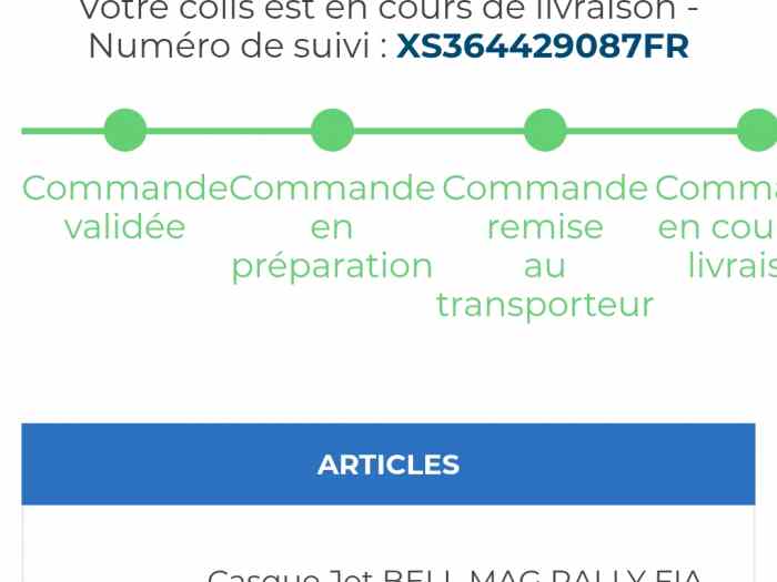 Casque bell xl nouvelle norme