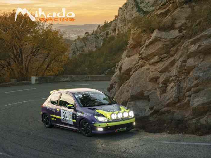 LOCATION / Peugeot 206 N2S / FOR RENT 1