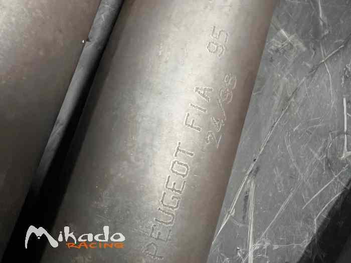 COLLECTEUR 306 S16 Peugeot sport 1