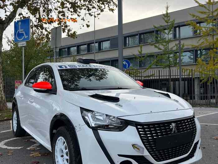 Peugeot 208 RALLY 4