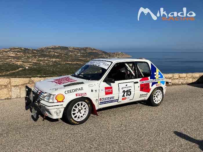 205 rallye GRA vhc avec pth international 2