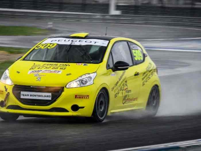 208 racing cup