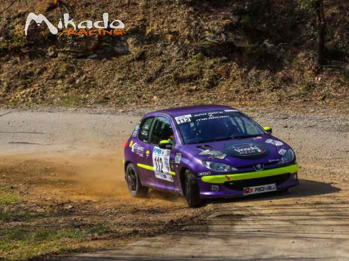 LOCATION / Peugeot 206 N2S / FOR RENT 0