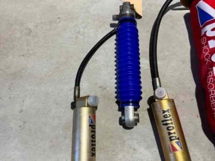 Amortisseurs Proflex 1