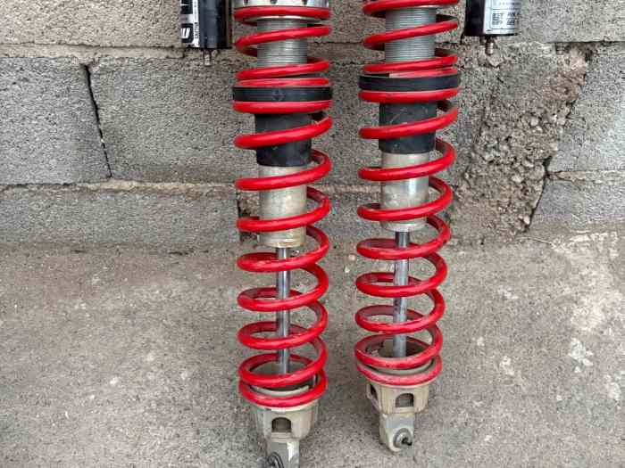 Amortisseur Walker Evans racing 1