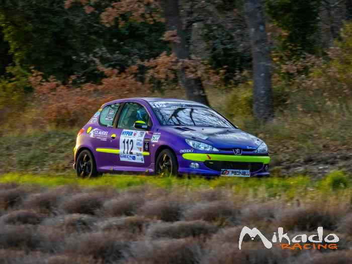 LOCATION / Peugeot 206 N2S / FOR RENT 3