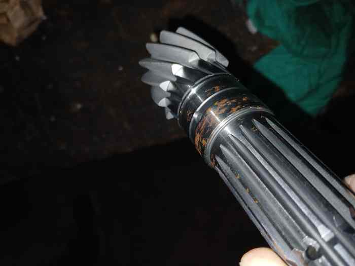 Couple court 12x68 psa 3