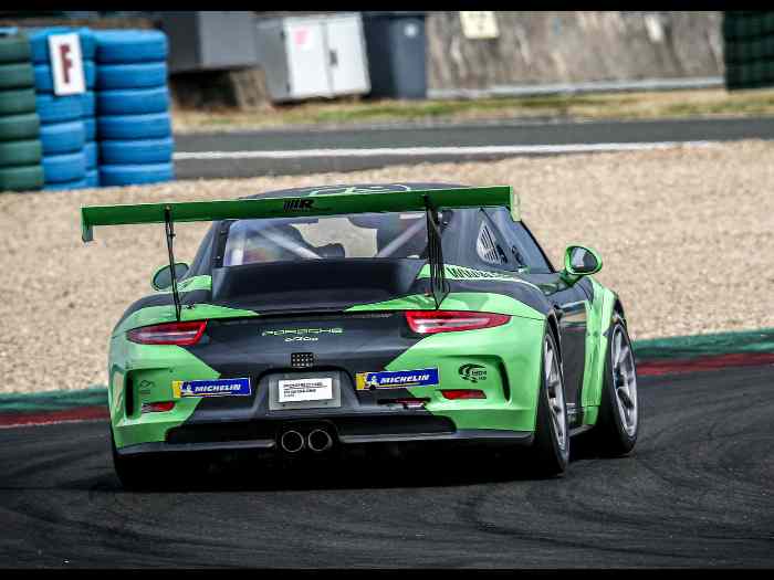 Porsche Gt3 Cup 991.1 1