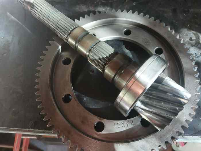 COUPLE COURT BE4 15x74 0