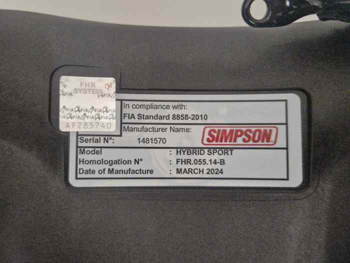 Hans Simpson Hybrid 1