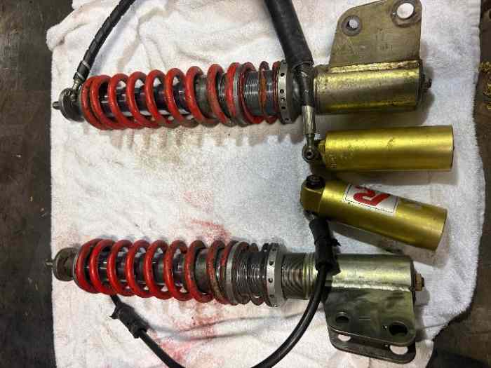 2 AMORTISSEURS AVANT PROFLEX CLIO WILLIAMS GN