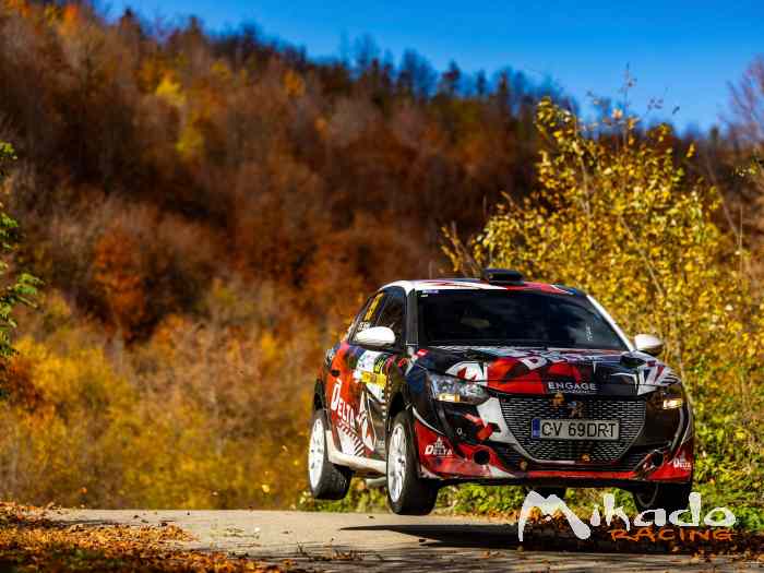 Peugeot 208 Rally4 1