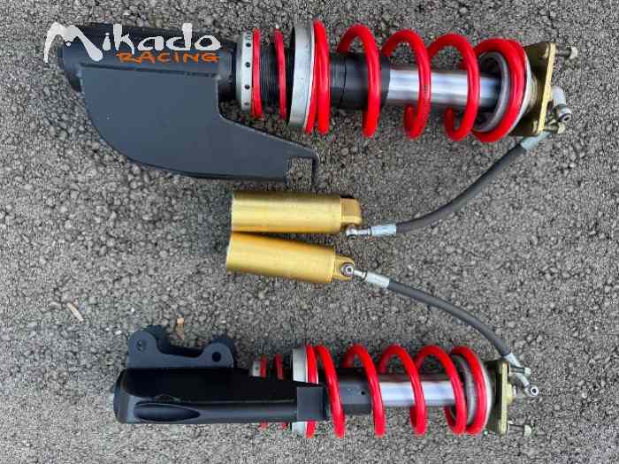 Vends train AV Saxo Kit Car F2000 1