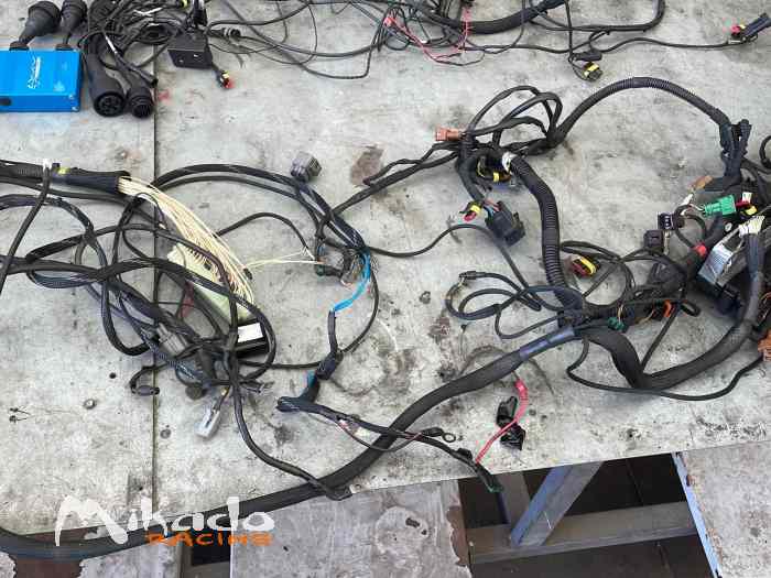 Centralina ed impianto elettrico wolf thunder 1