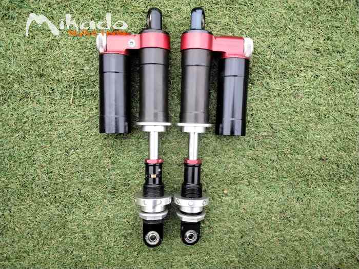 Amortisseurs ar oram formule Renault