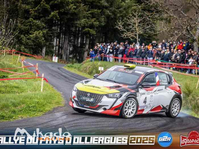 x4 Peugeot 208 RC4 | 2