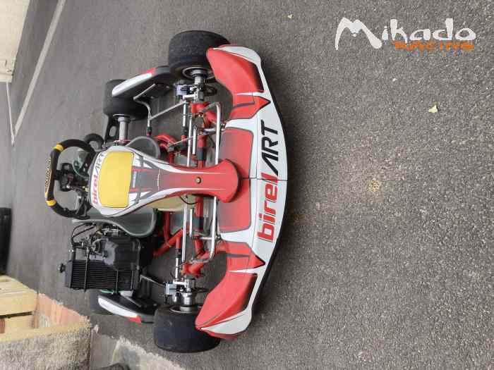 Karting 125 rotax max 1