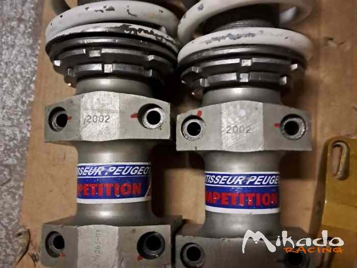 Amortisseurs complets 306 MAXI V1 Diam 50 1