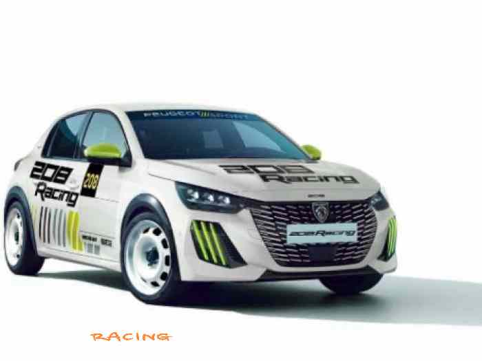 208 FRC6 Accidentée