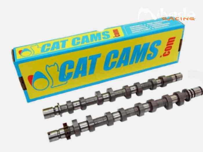 Arbre a cames catcams