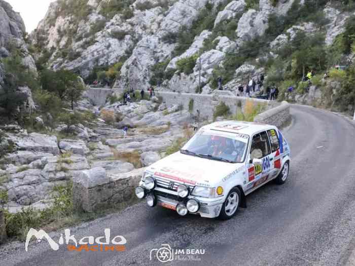 Peugeot 205 Rallye GrA VHC . 1