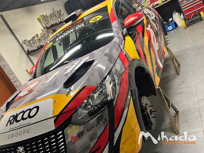 Peugeot 208 rally 4 1