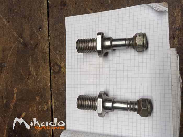 vends 2 pivots martini