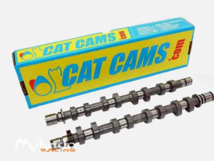 Poulie Réglable Cat Cams 1