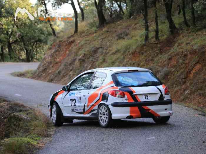 206 A6K Ex Denis Millet 2