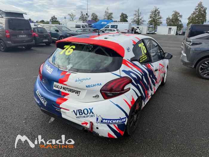 Peugeot 208 racing cup RPS 2