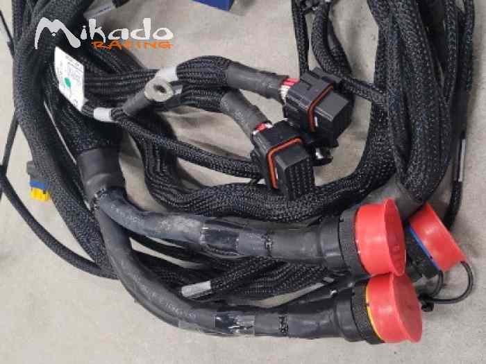 Faisceau habitacle 308 Racing Cup 2