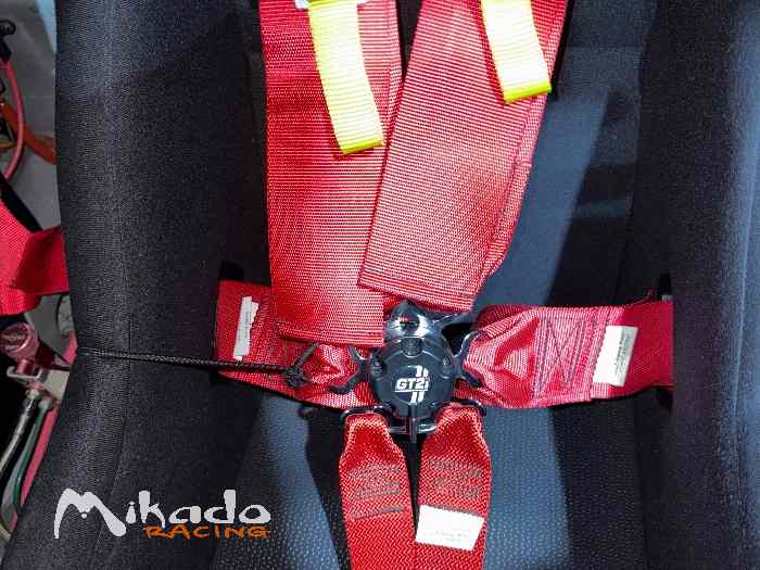 Pack 2 Harnais GT2I 6 Points 1