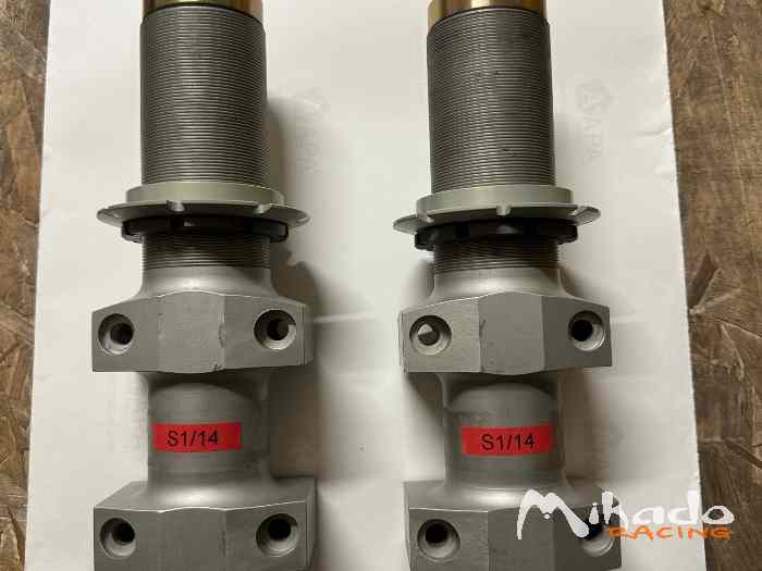 Vds jambe amortisseurs 306 Maxi V1