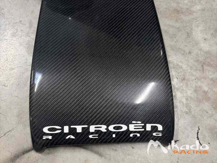 Trappe de toit carbone 1