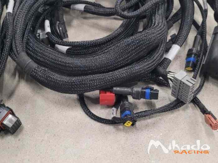 Faisceau habitacle 308 Racing Cup 1