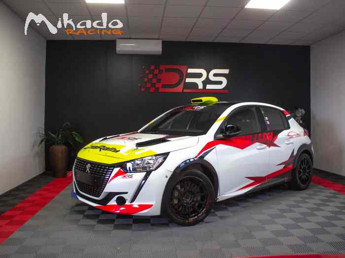 x4 Peugeot 208 RC4 |